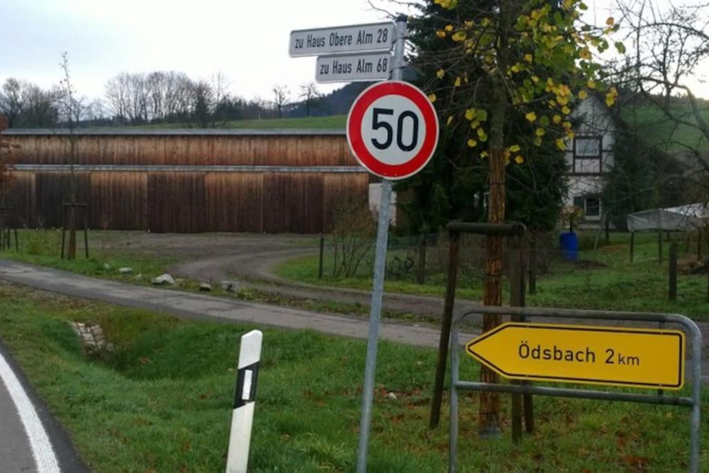 Wohnung Am Fusse Des Schwarzwalds Oberkirch  Exterior photo